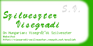 szilveszter visegradi business card